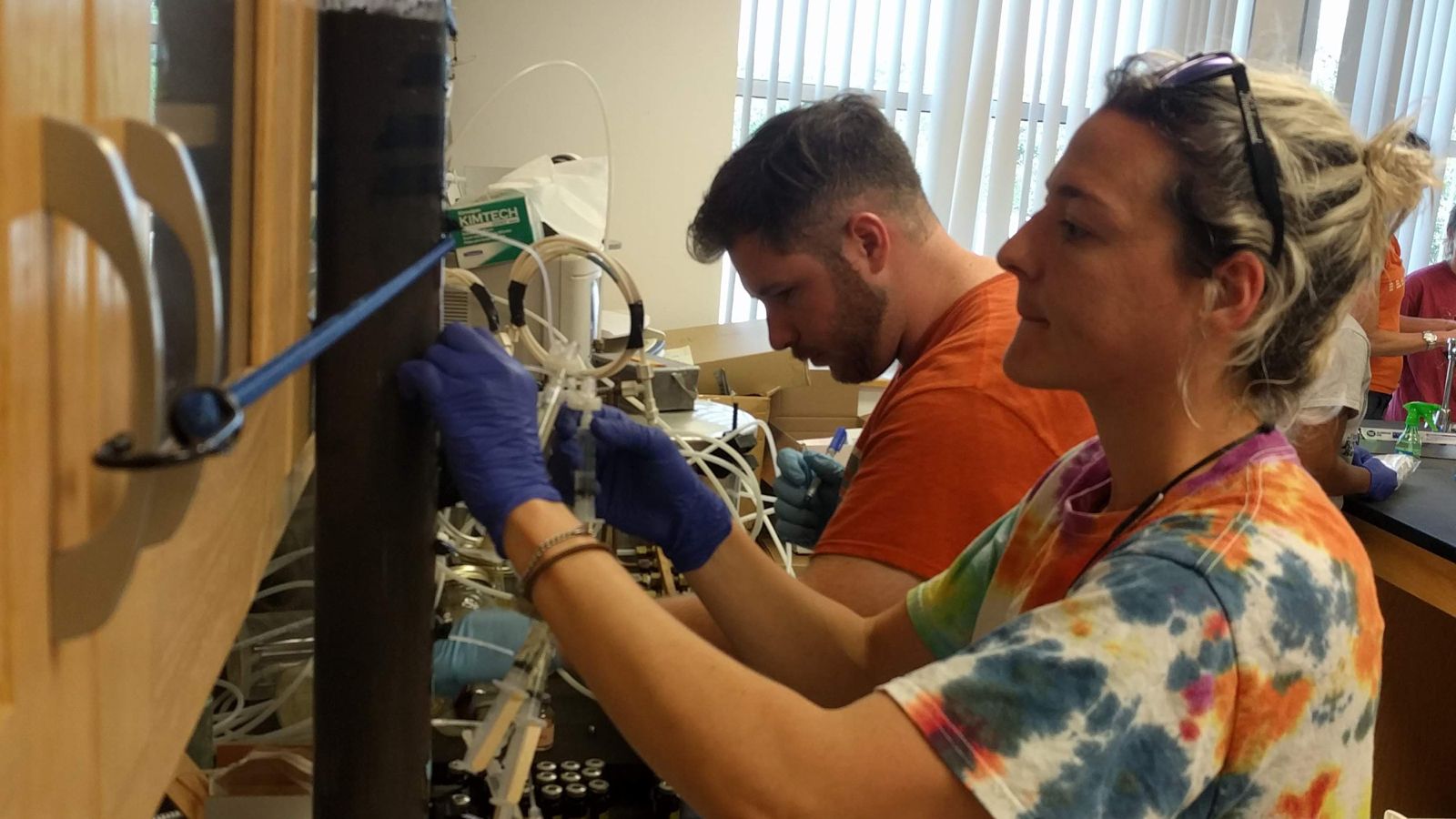 Extracellular Enzymes