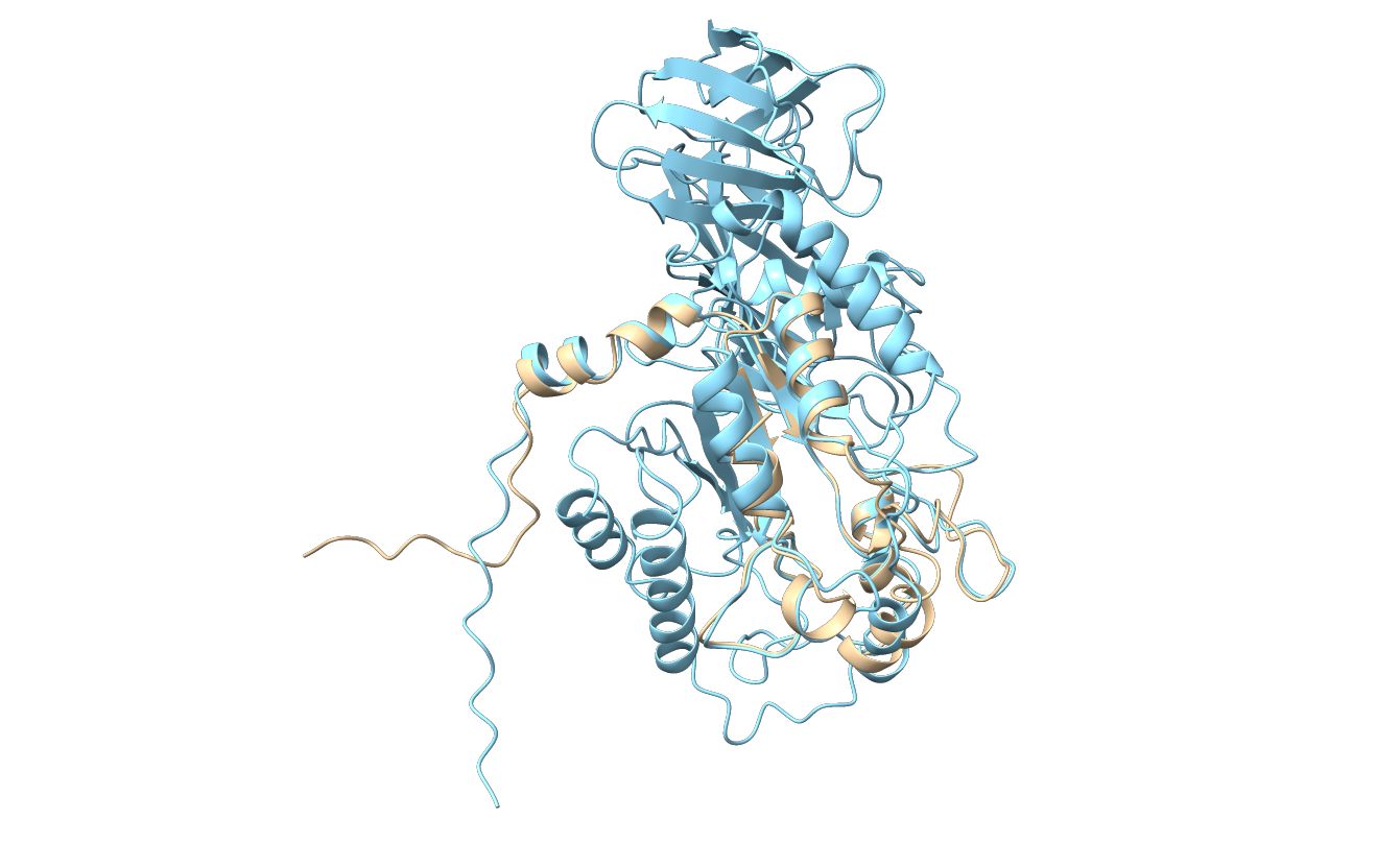 Subsurface Enzymes & Community Evolution