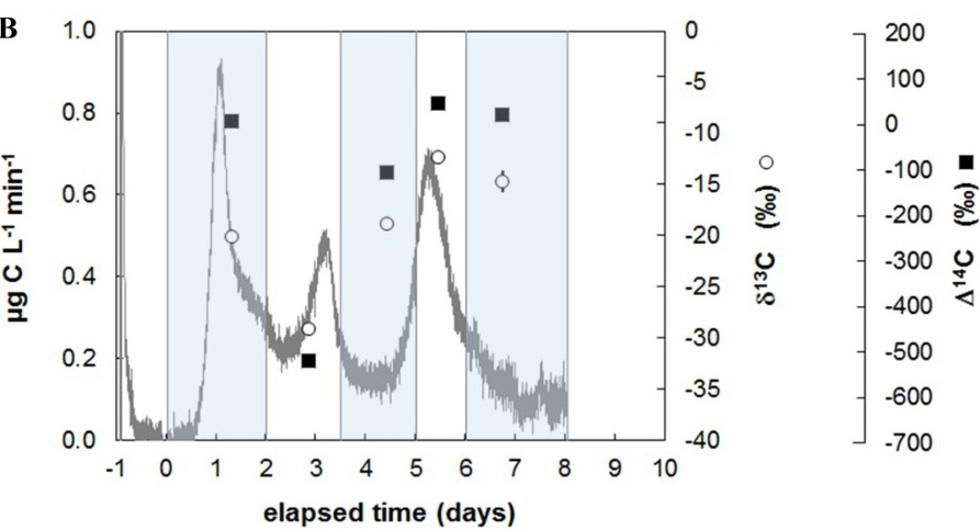 Sequential bioavailability of sedimentary organic matter to heterotrophic bacteria