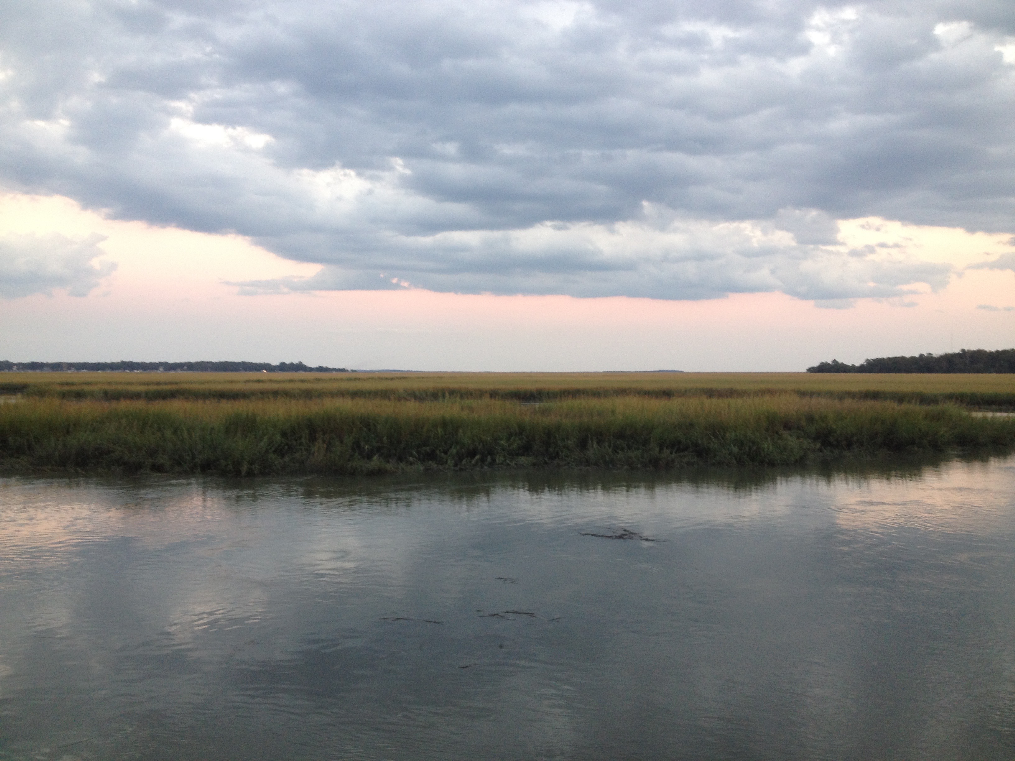 Kinetics and identities of extracellular peptidases in subsurface sediments of the White Oak River Estuary, NC