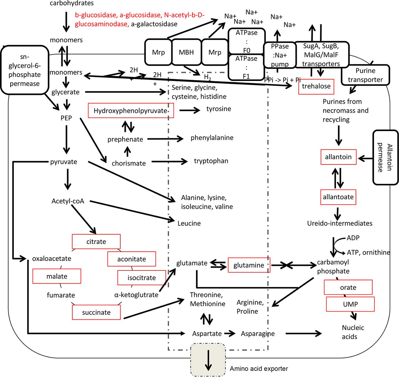 Uncultured microbial phyla suggest mechanisms for multi-thousand-year subsistence in Baltic Sea sediments